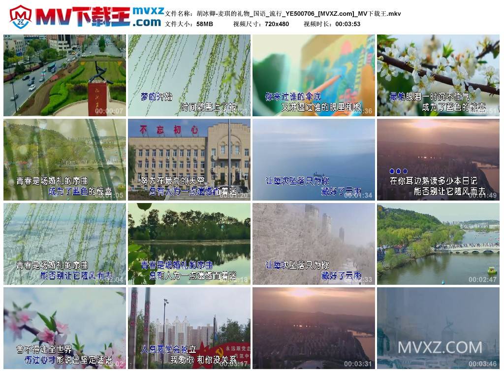 胡冰卿-麦琪的礼物_国语_流行_YE500706